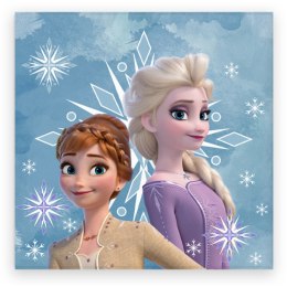 Ręcznik dziecięcy frotte 30x30 Frozen