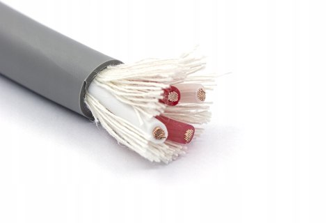 Canare 4S11G (OFC) przewód głośnikowy 4x2,15 mm² Kabel Made in Japan Canare 4S11G (OFC) przewód głośnikowy 4x2,15 mm² Kabel Made in Japan