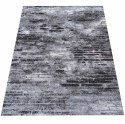 Dywan Nowoczesny Panamero 22 Grey 160 x 220 cm szary