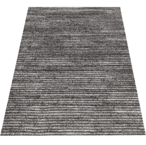 Dywan Nowoczesny Panamero 23 160 x 220 cm szary