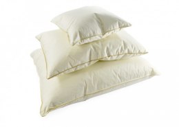 Frankhauer Poduszka naturalna puchowa ecru Daina - 70 x 80