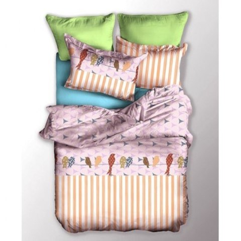 Frankhauer Pościel 100% mikrfibra KOLOROWE PTAKI - 200X200+80X80*2